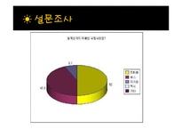 [장소마케팅] 청계천의 연구목적과 연구방법-13