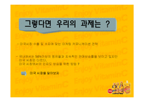 [마케팅] 성공적인 미국시장 진출을 위한 비타500의 커뮤니케이션 전략-5