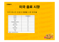 [마케팅] 성공적인 미국시장 진출을 위한 비타500의 커뮤니케이션 전략-7