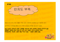 [마케팅] 성공적인 미국시장 진출을 위한 비타500의 커뮤니케이션 전략-10