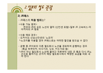 [관광개발] 한국과 일본의 철도관광-18