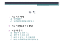 [세계화와국제관계] 핵무기와 국제관계-2