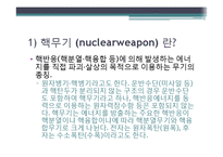 [세계화와국제관계] 핵무기와 국제관계-4
