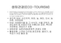 [관광환경] 펜션을 통해바라본 주말문화-4