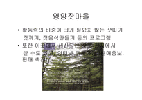 [관광환경] 펜션을 통해바라본 주말문화-13