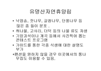 [관광환경] 펜션을 통해바라본 주말문화-14