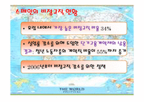 [사회불평등] 비정규직 문제와 사회정책(국내와해외사례비교)-18