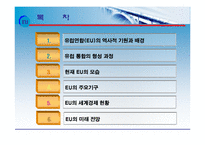 [국제지역관계론] 유럽연합(EU)-2
