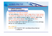 [국제지역관계론] 유럽연합(EU)-17