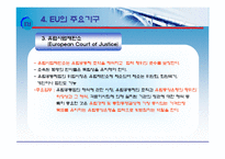 [국제지역관계론] 유럽연합(EU)-19