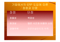 [정보시스템] 삼성 SDI의 ERP 도입사례-9