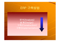 [정보시스템] 삼성 SDI의 ERP 도입사례-10