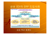 [정보시스템] 삼성 SDI의 ERP 도입사례-12