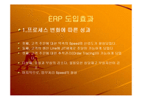 [정보시스템] 삼성 SDI의 ERP 도입사례-17