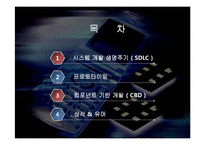 [경영학] e비즈니스 시스템 구축-2