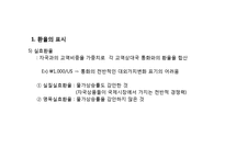 [외화론] 외환시장-7