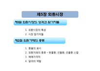 [외화론] 외환시장-11