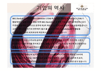 [다국적기업] BRL Hardy - 호주와인회사-9