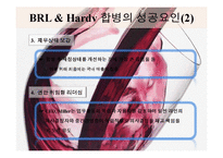 [다국적기업] BRL Hardy - 호주와인회사-15