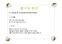 [국제마케팅] 한국전통차 중국시장으로의 진출-6