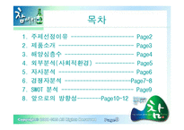 [마케팅] 주류시장에 뛰어든 참아일랜드-1