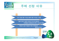 [마케팅] 주류시장에 뛰어든 참아일랜드-2