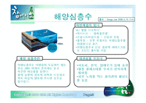 [마케팅] 주류시장에 뛰어든 참아일랜드-4