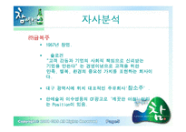 [마케팅] 주류시장에 뛰어든 참아일랜드-6
