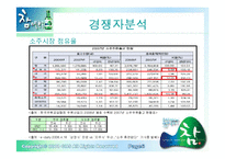 [마케팅] 주류시장에 뛰어든 참아일랜드-7