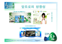 [마케팅] 주류시장에 뛰어든 참아일랜드-12