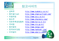 [마케팅] 주류시장에 뛰어든 참아일랜드-13