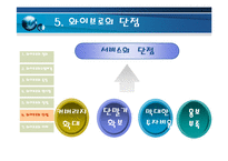 [통신기술] 와이브로에 관한보고-13