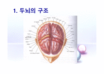 [시스템분석및설계] 시각화에 대해-4