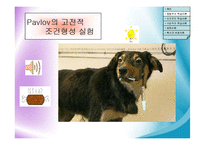 [교육공학] 교육공학의 이론적 기초-5
