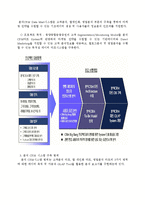 [졸업논문][소비자행동론] CMA상품에 대한 성공한 금융업체의 전략과 실패한 금융업체의 전략 비교 분석-12