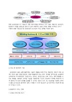 [졸업논문][소비자행동론] CMA상품에 대한 성공한 금융업체의 전략과 실패한 금융업체의 전략 비교 분석-17