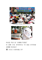 [현시법] 성매매 특별법에 관한 토론-2