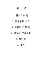 [매스컴과 사회] 댓글문화의 모순과 대안점-2