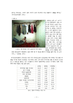 [사회복지] 국내 거주 외국인 노동자들이 겪는 어려움과 처우 개선을 위한 정책 제안-11