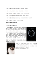 [영상사회학] 국제영화제를 통해 살펴본 해외에 비춰진 동아시아 영상 문화-4