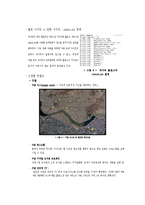 [정보사회] 구글과 네이버의 비교분석-4