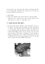 [국제회의] ISAPS 2012 Daegu-11