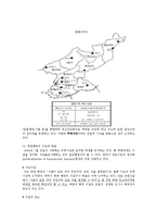 [북한정치 사회] 북한의 권력구조 및 행정체계-17