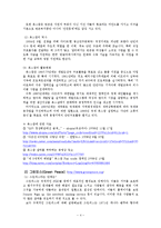 [전자정부론] 인터넷시대의 NGOs(International NGOs의 역할)-4