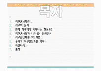 [지구환경] 지구온난화문제와 해결방안-2