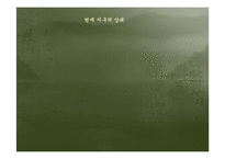 [지구환경] 지구온난화문제와 해결방안-6
