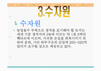 [지구환경] 지구온난화문제와 해결방안-10