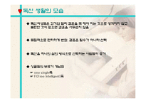 [사회현상] 독신주의-7