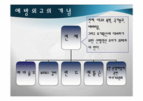[국제안보] 국제평화와 분쟁관리의 전략 예방외교-4