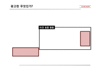 [사고와표현] 흥미로운광고 그러나 실패한광고의 사례와 분석-10